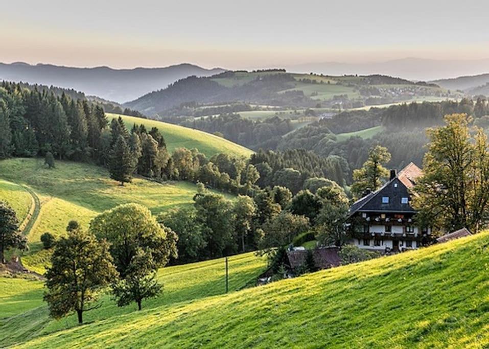 Ferienwohnung Lotti + Hochschwarzwald Card Titisee-Neustadt Esterno foto