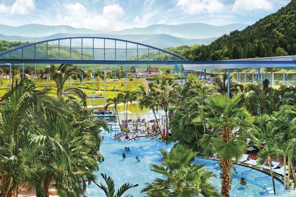 Ferienwohnung Lotti + Hochschwarzwald Card Titisee-Neustadt Esterno foto