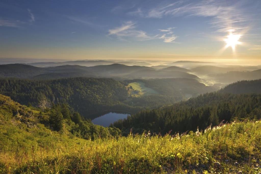 Ferienwohnung Lotti + Hochschwarzwald Card Titisee-Neustadt Esterno foto