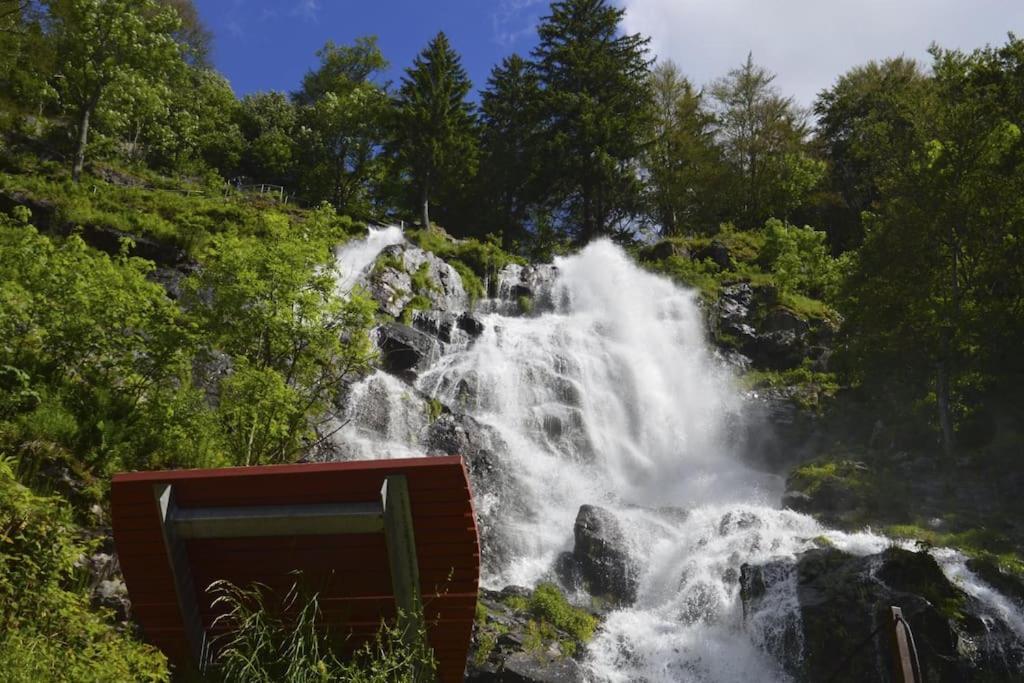 Ferienwohnung Lotti + Hochschwarzwald Card Titisee-Neustadt Esterno foto