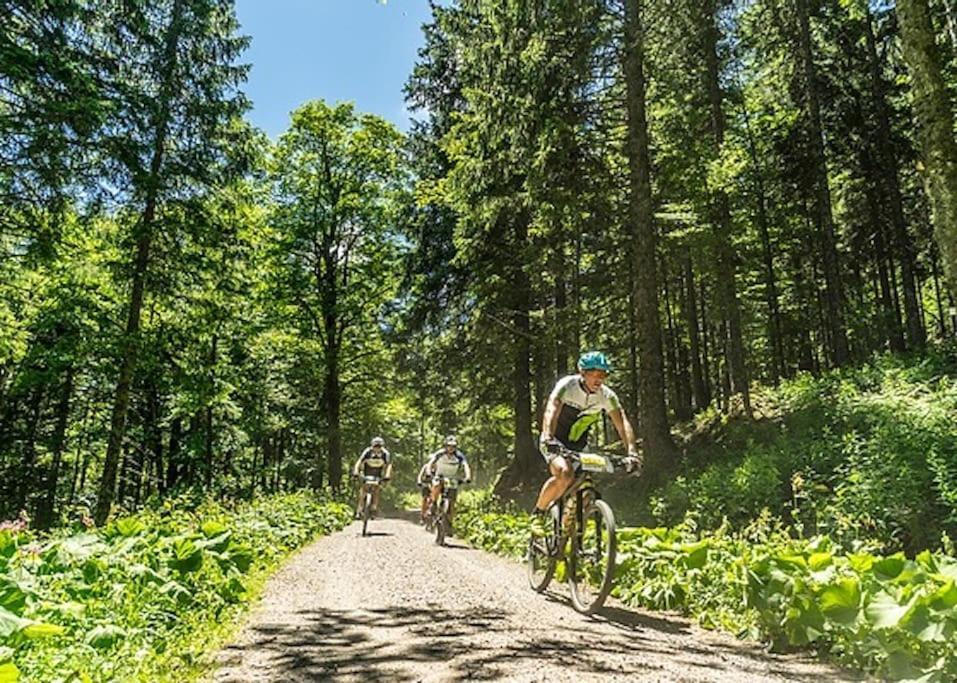 Ferienwohnung Lotti + Hochschwarzwald Card Titisee-Neustadt Esterno foto